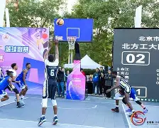 瑞典篮球队联赛获得好评,赢得支持的球员