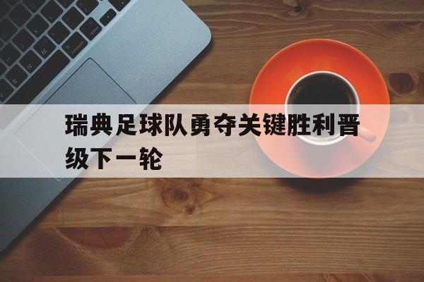 瑞典足球队阵容 瑞典足球队阵容